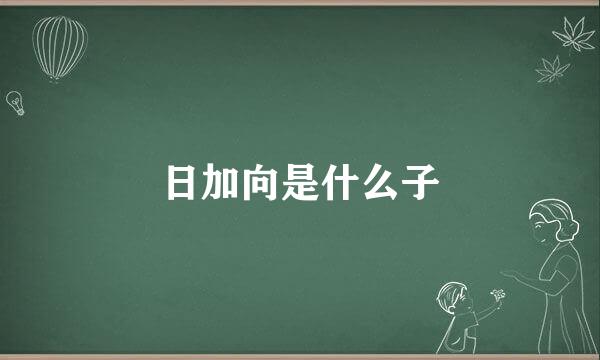 日加向是什么子