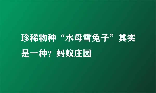 珍稀物种“水母雪兔子”其实是一种？蚂蚁庄园