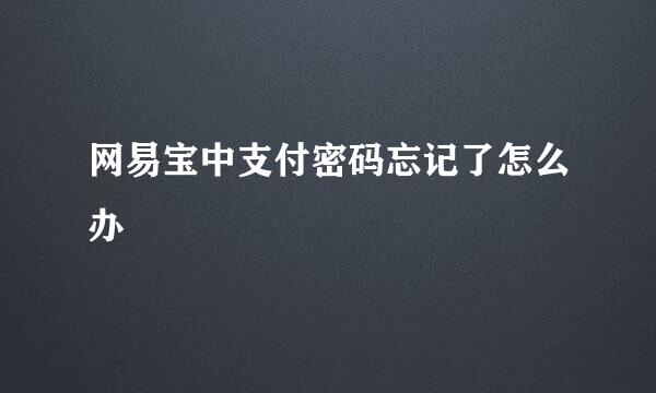网易宝中支付密码忘记了怎么办