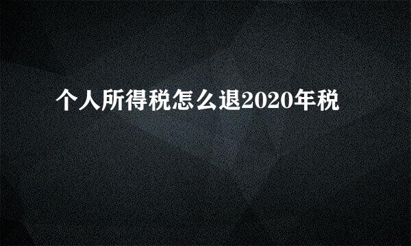 个人所得税怎么退2020年税