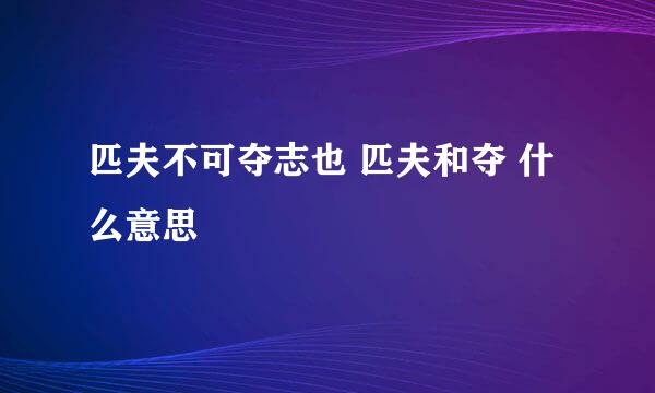 匹夫不可夺志也 匹夫和夺 什么意思