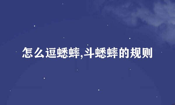 怎么逗蟋蟀,斗蟋蟀的规则