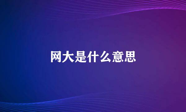 网大是什么意思