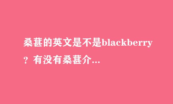 桑葚的英文是不是blackberry？有没有桑葚介绍？是不是就是黑莓