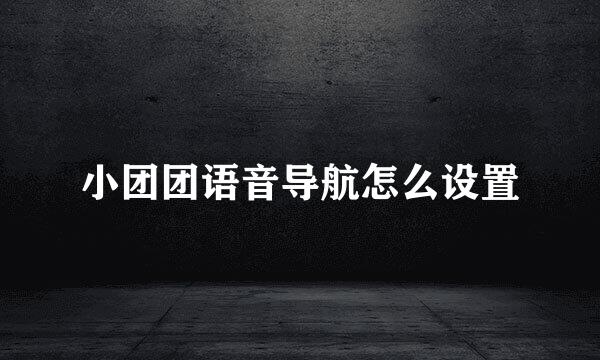 小团团语音导航怎么设置