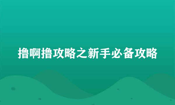 撸啊撸攻略之新手必备攻略