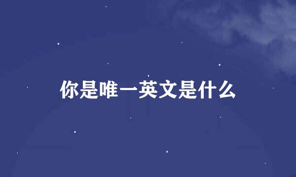 你是唯一英文是什么