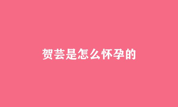 贺芸是怎么怀孕的