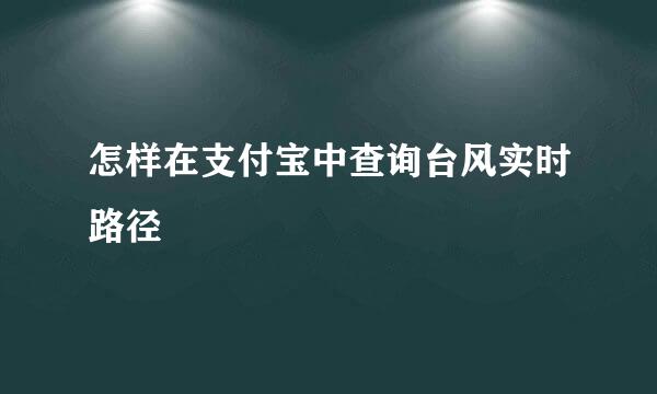 怎样在支付宝中查询台风实时路径