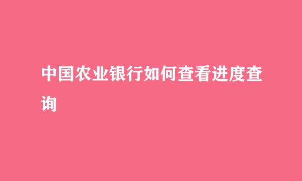 中国农业银行如何查看进度查询