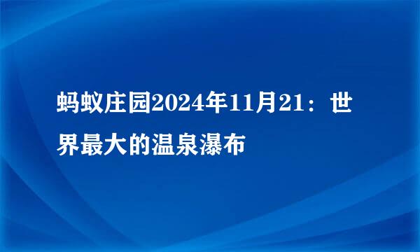 蚂蚁庄园2024年11月21：世界最大的温泉瀑布