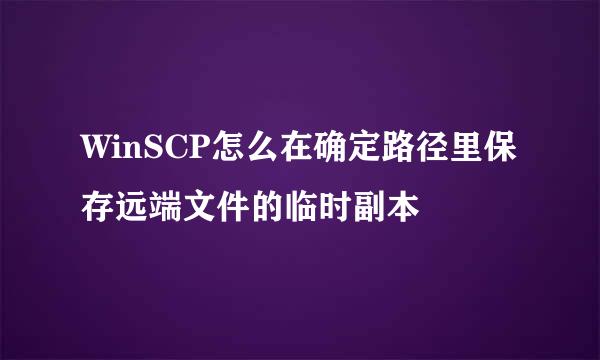 WinSCP怎么在确定路径里保存远端文件的临时副本