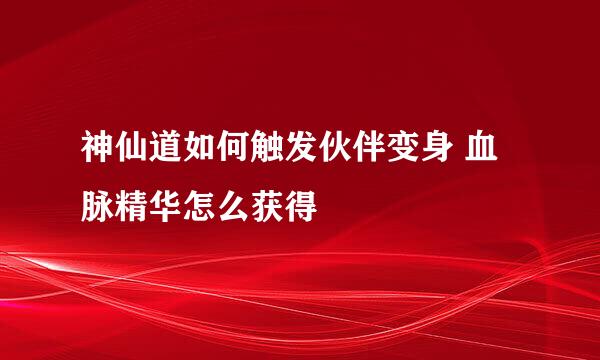 神仙道如何触发伙伴变身 血脉精华怎么获得