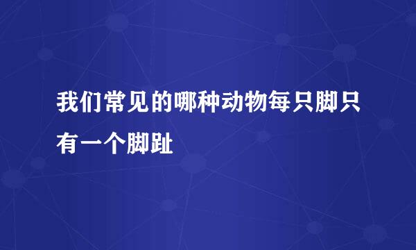 我们常见的哪种动物每只脚只有一个脚趾
