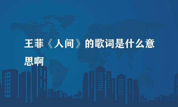 王菲《人间》的歌词是什么意思啊