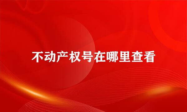 不动产权号在哪里查看