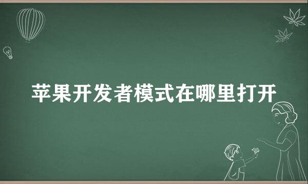 苹果开发者模式在哪里打开