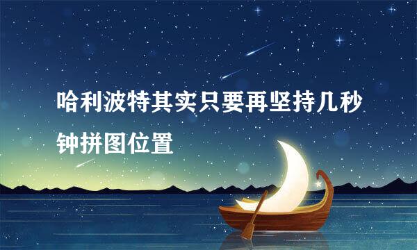 哈利波特其实只要再坚持几秒钟拼图位置