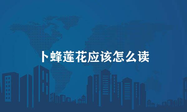 卜蜂莲花应该怎么读