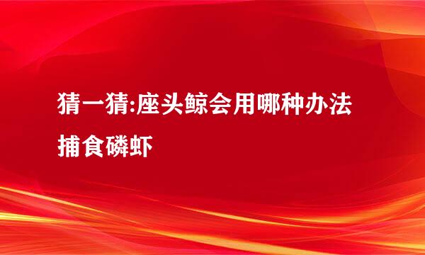 猜一猜:座头鲸会用哪种办法捕食磷虾