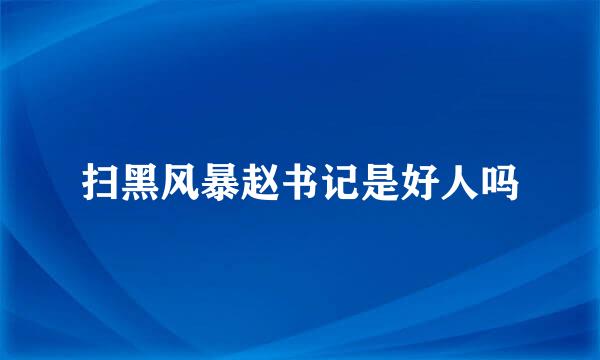 扫黑风暴赵书记是好人吗