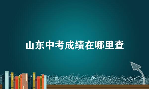 山东中考成绩在哪里查