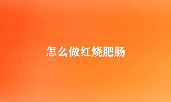 怎么做红烧肥肠