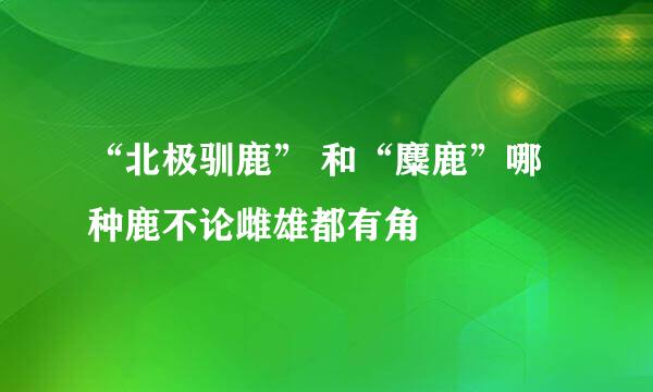 “北极驯鹿” 和“麋鹿”哪种鹿不论雌雄都有角