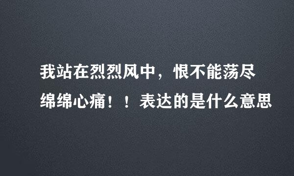 我站在烈烈风中，恨不能荡尽绵绵心痛！！表达的是什么意思