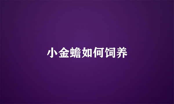 小金蟾如何饲养