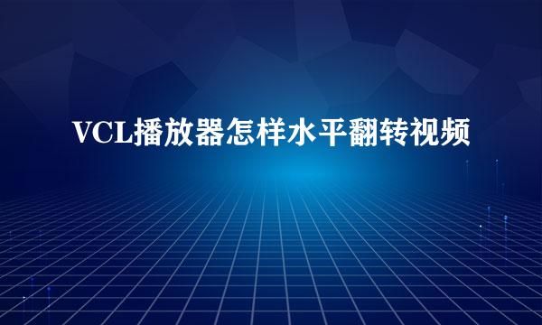 VCL播放器怎样水平翻转视频