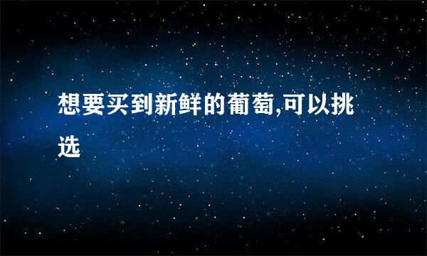 想要买到新鲜的葡萄,可以挑选