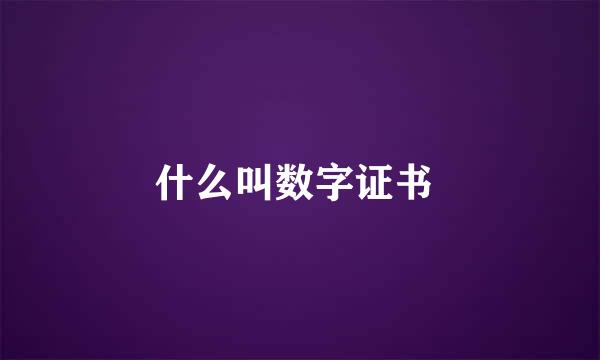什么叫数字证书 