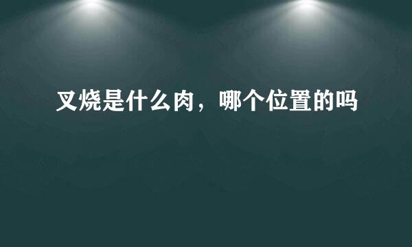 叉烧是什么肉，哪个位置的吗