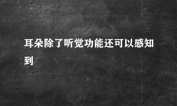 耳朵除了听觉功能还可以感知到