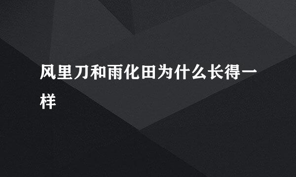 风里刀和雨化田为什么长得一样