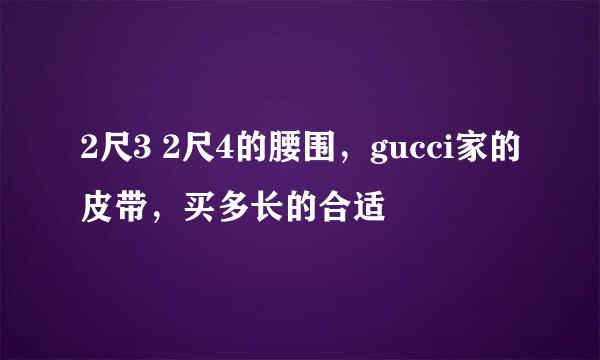 2尺3 2尺4的腰围，gucci家的皮带，买多长的合适