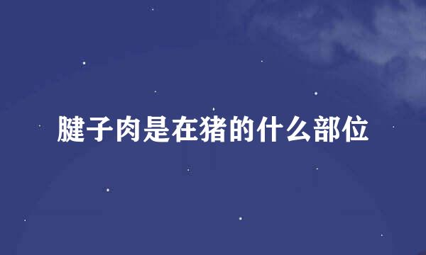 腱子肉是在猪的什么部位
