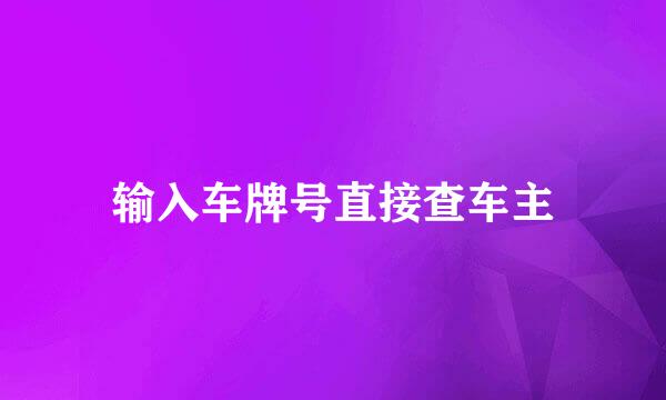 输入车牌号直接查车主
