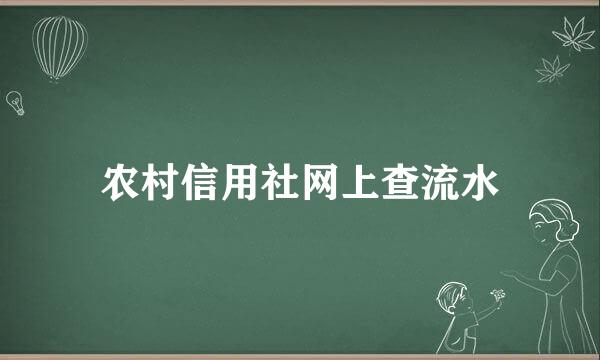 农村信用社网上查流水