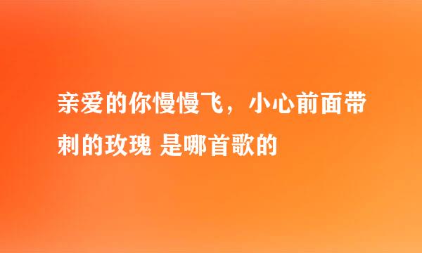 亲爱的你慢慢飞，小心前面带刺的玫瑰 是哪首歌的