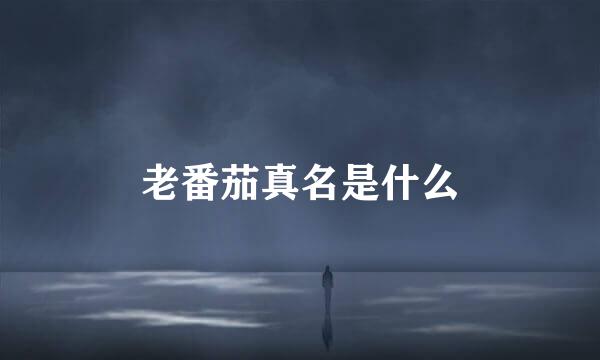 老番茄真名是什么