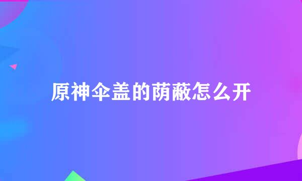 原神伞盖的荫蔽怎么开