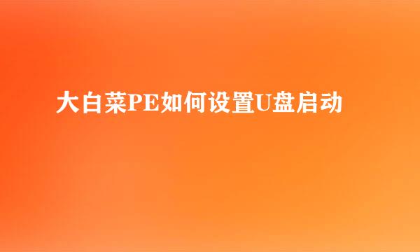 大白菜PE如何设置U盘启动