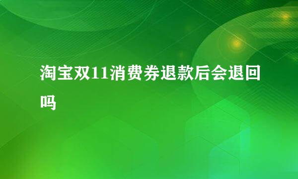 淘宝双11消费券退款后会退回吗