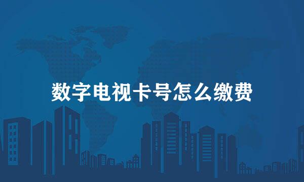数字电视卡号怎么缴费