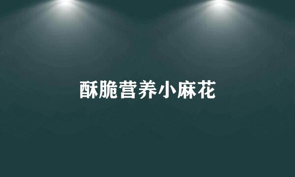 酥脆营养小麻花