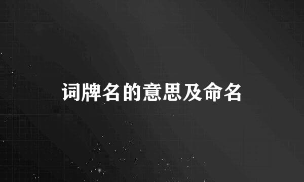 词牌名的意思及命名
