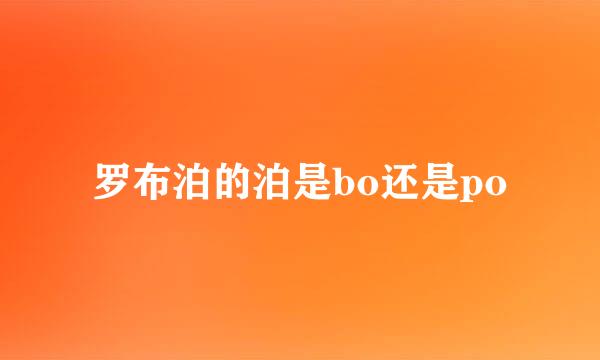 罗布泊的泊是bo还是po