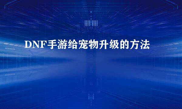 DNF手游给宠物升级的方法